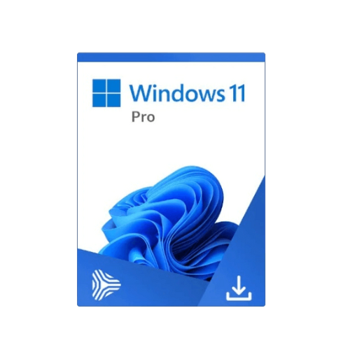Windows 11 Professional